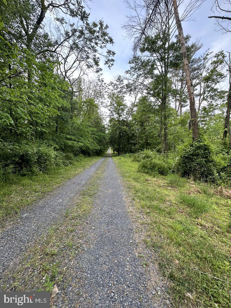 NONE AVAILABLE - Commercial Sale