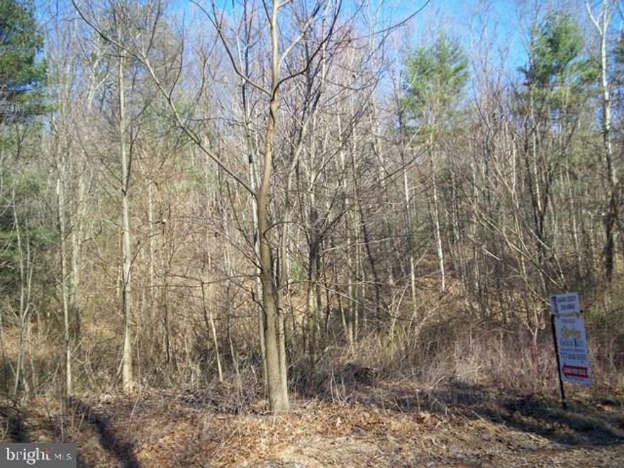 2 +/- acre lot; great place to put your dream home; no restrictions; not perked