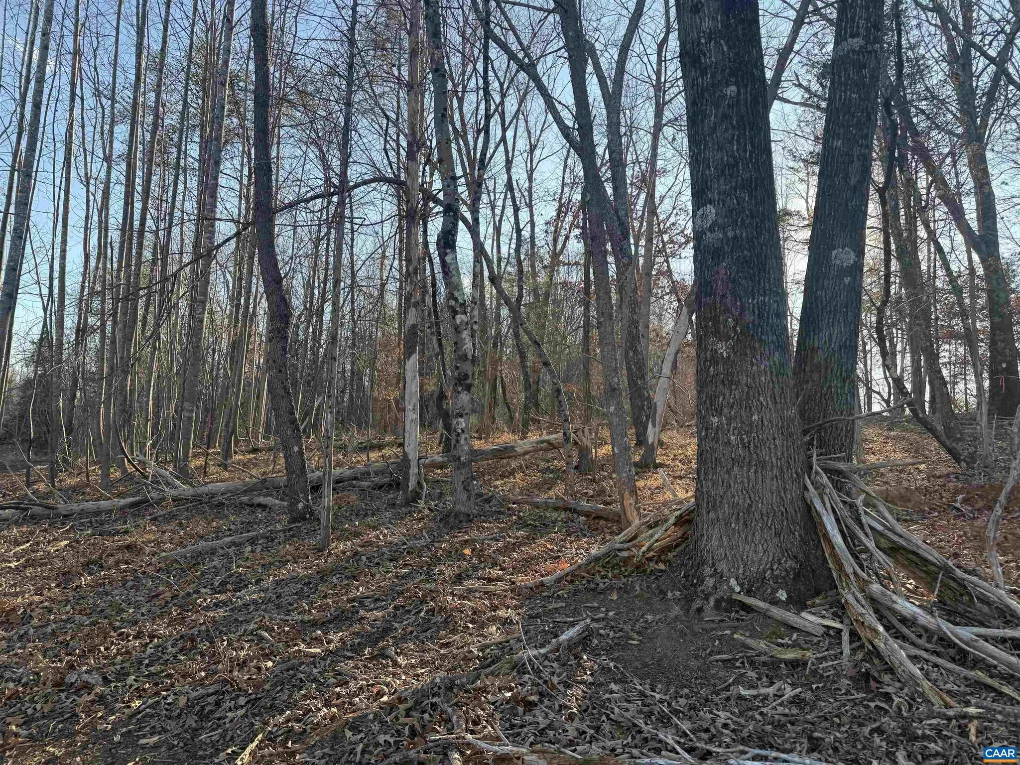 Additional image 24 of Wingfield Dr, Goode, VA 24556