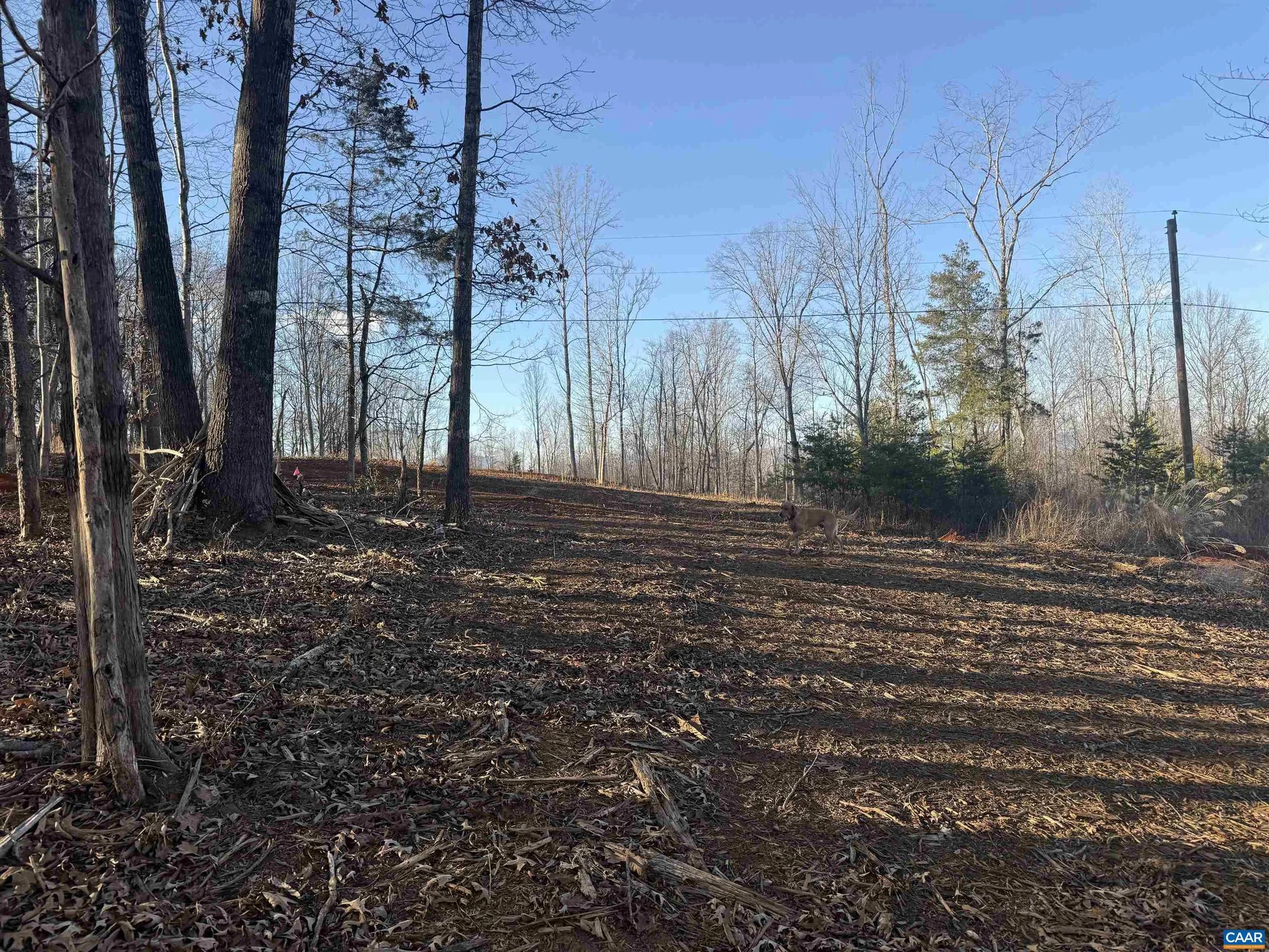 Additional image 27 of Wingfield Dr, Goode, VA 24556
