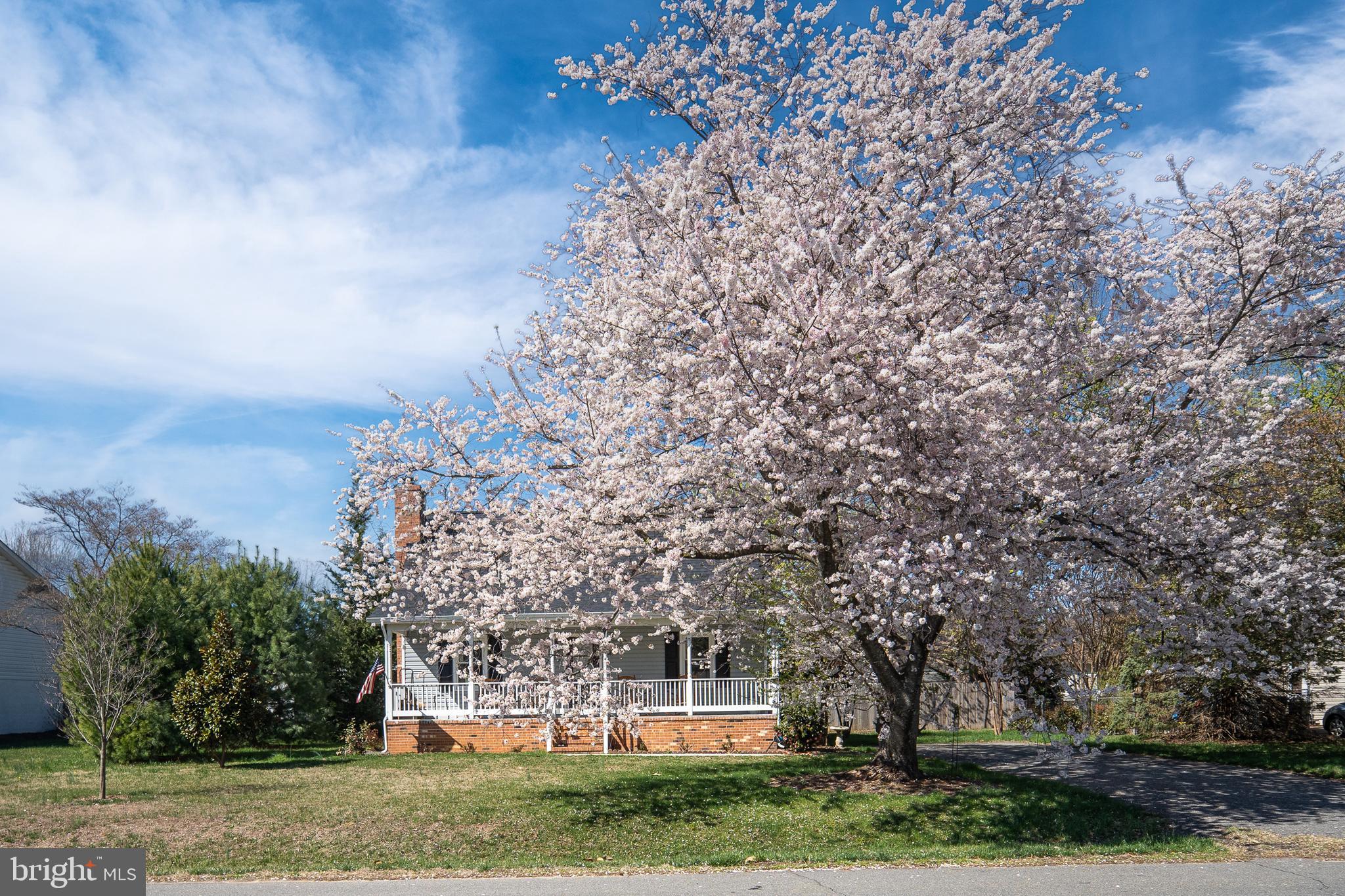 MAPLE GROVE - Residential