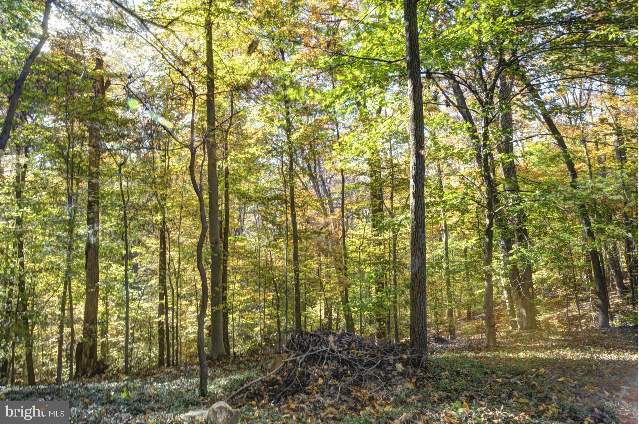 CREST LANE - Residential