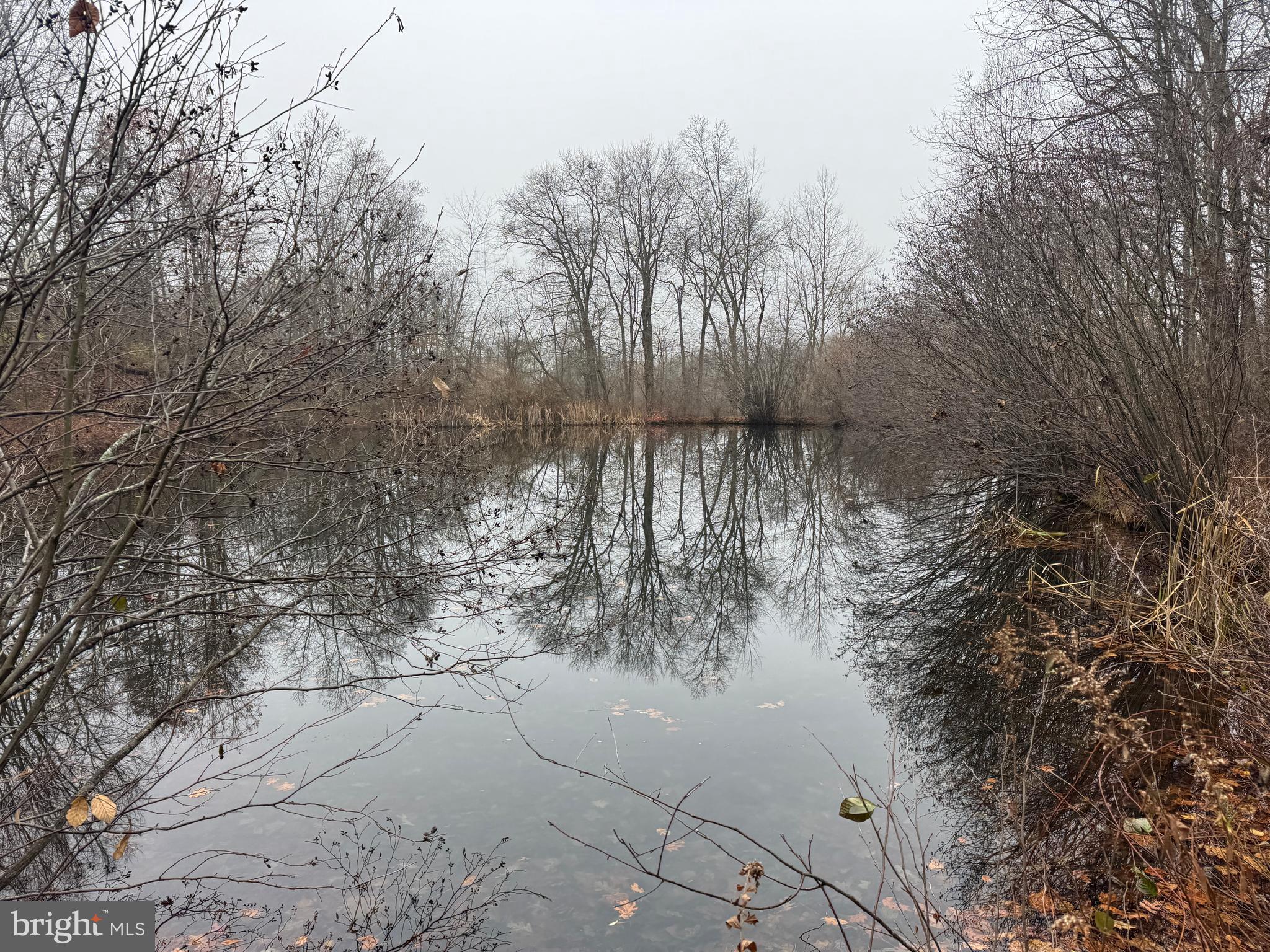 3014 PEACH ORCHARD ROAD