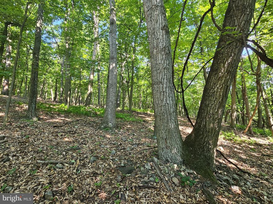 14.25± ACRES WOODED LAND NEAR MERCERSBURG, PA! This beautiful property is excellent for hunting and recreation. The property is an excellent wildlife habitat and has abundant wildlife sign. Mature hardwood timber can be found throughout the property. The property is accessible from Dry Run Rd / Polecat Hollow Rd near Clear Spring, MD, though no recorded access easement has been found. The property boundaries are well-marked. Property showings will be by appointment only. This property is being offered in an online-only auction.  BID ONLINE NOW! Auction ends on Thursday, July 18, 2024 at 6:00PM. The List price in no way represents a minimum, starting, or acceptable bid. It is used only as a guide to find the property.