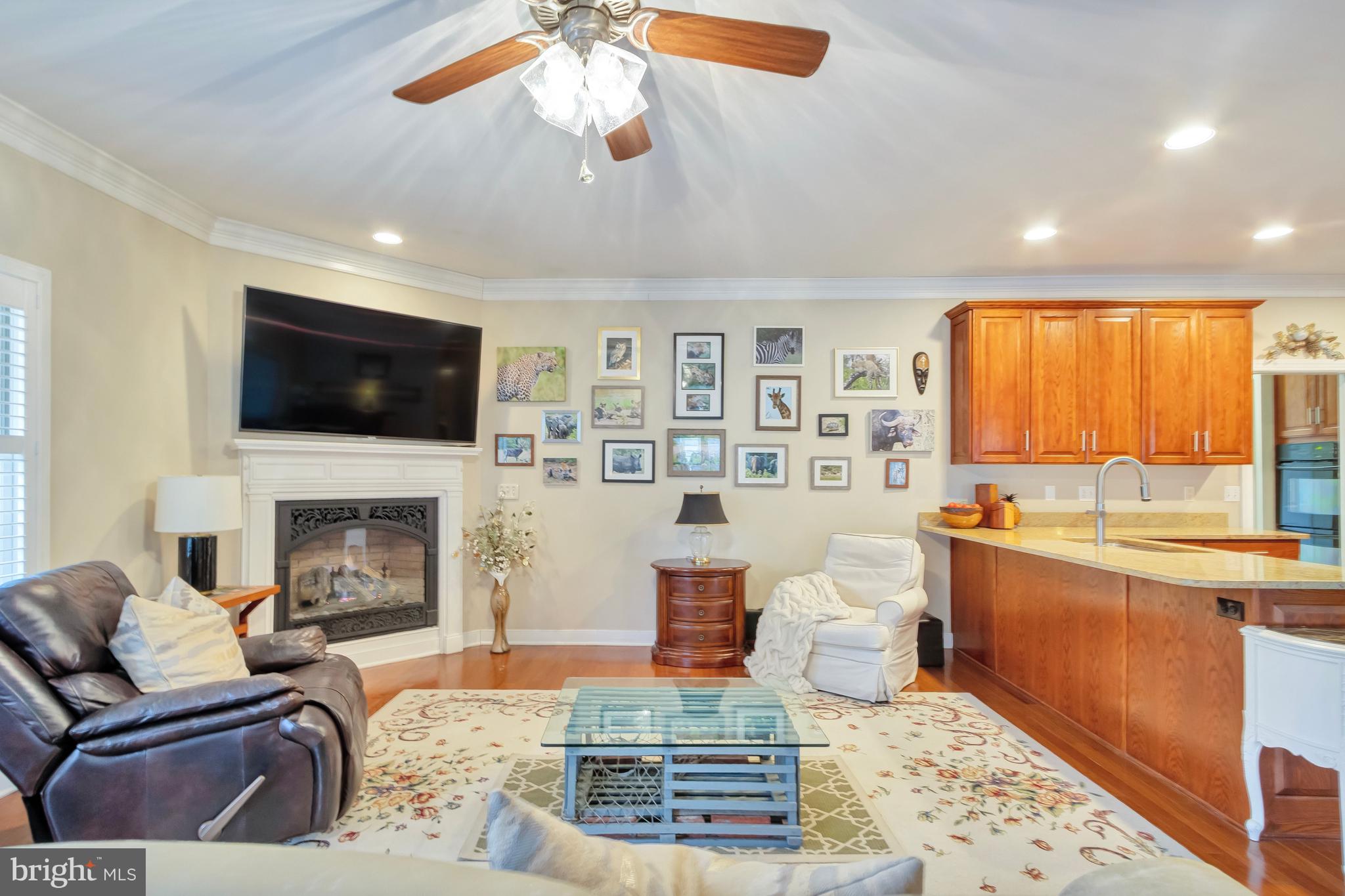 VILLAGE OF CINDERBERRY - Residential