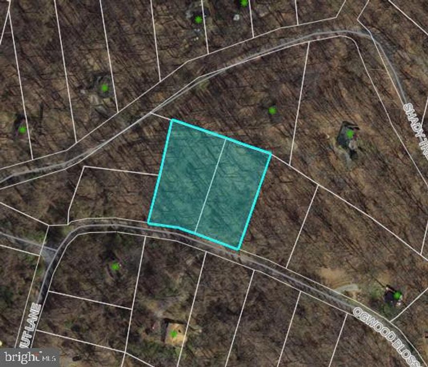 Raw land. 2 Lots included in the sale, totaling 1.19 Acres.