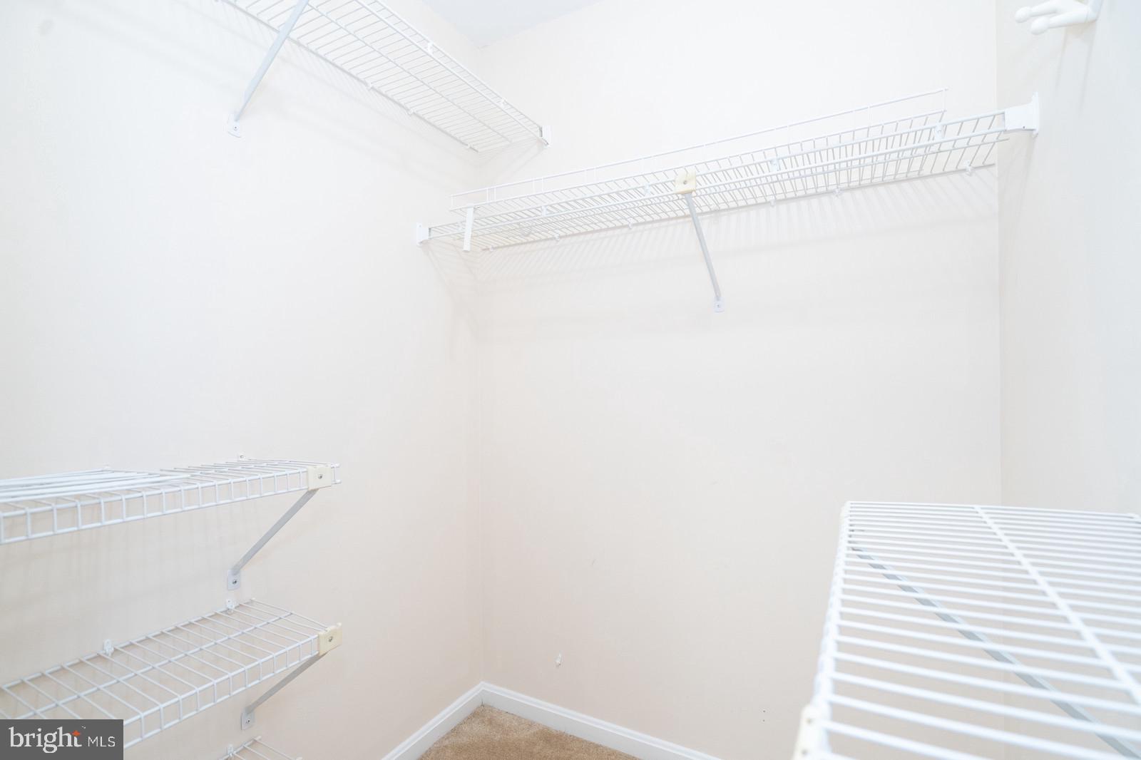 BRISTOL HOUSE - Residential Lease