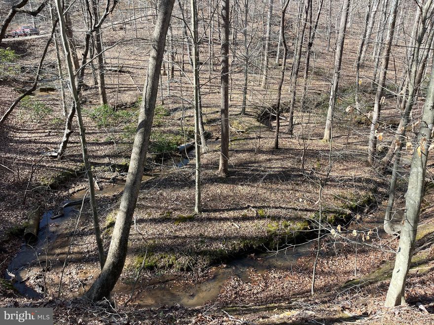 5.56 Acres of land just outside the town of Hardy. This property has a nice creek in the middle of the tract and would make for a good place to build. The tract is fully wooded with a mix of several different species of hardwoods. There is sign of wildlife throughout the property as well. Close to Smith Mountain Lake and only 20 minutes outside of Roanoke. There are no restrictions for this property.