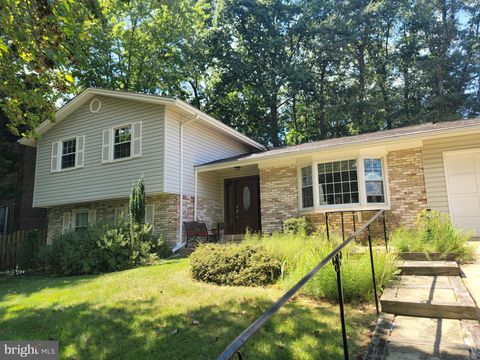 2002 BYRD ROAD VIENNA VA 22182