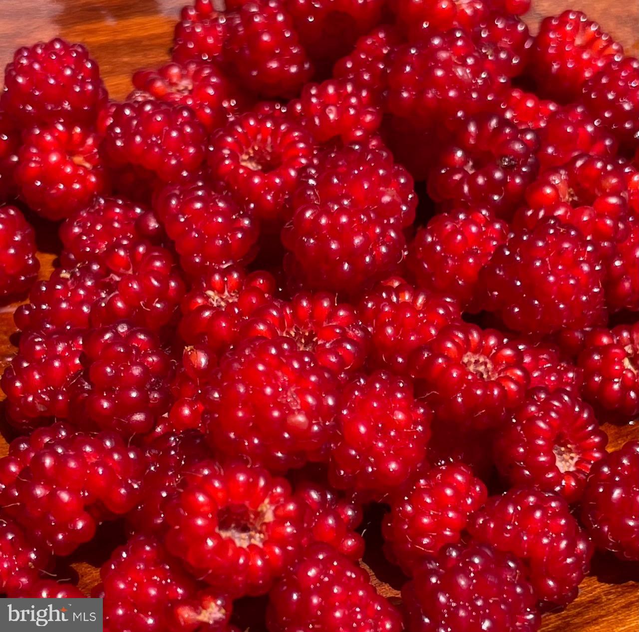 GLEN ALDEN - Residential