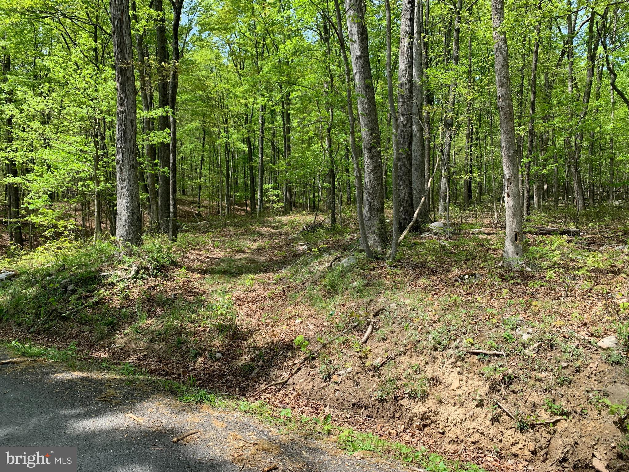 NONE AVAILABLE - Land