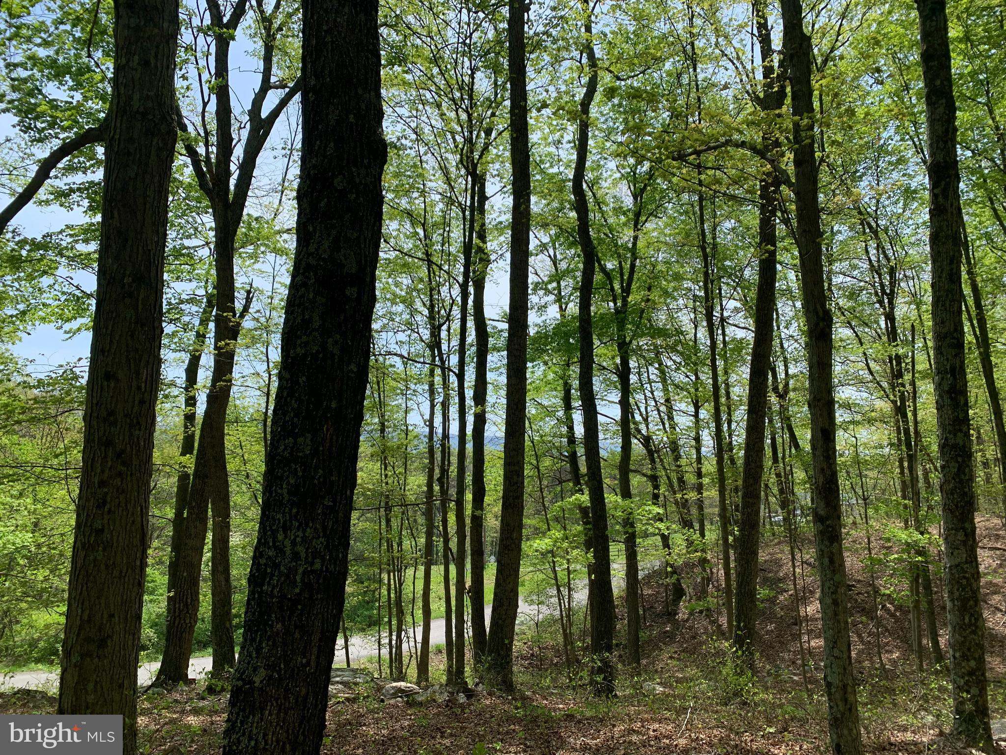 NONE AVAILABLE - Land