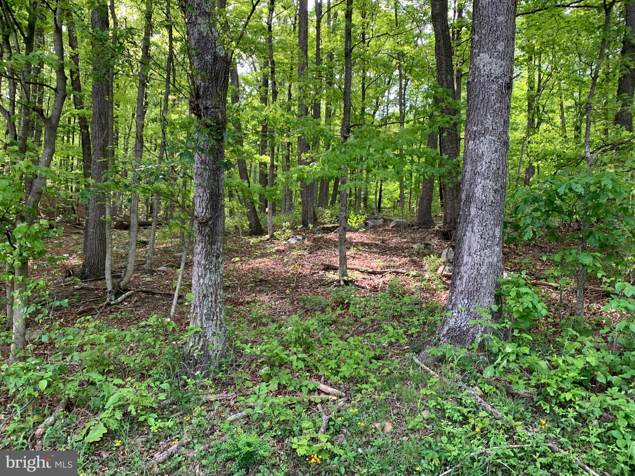 NONE AVAILABLE - Land