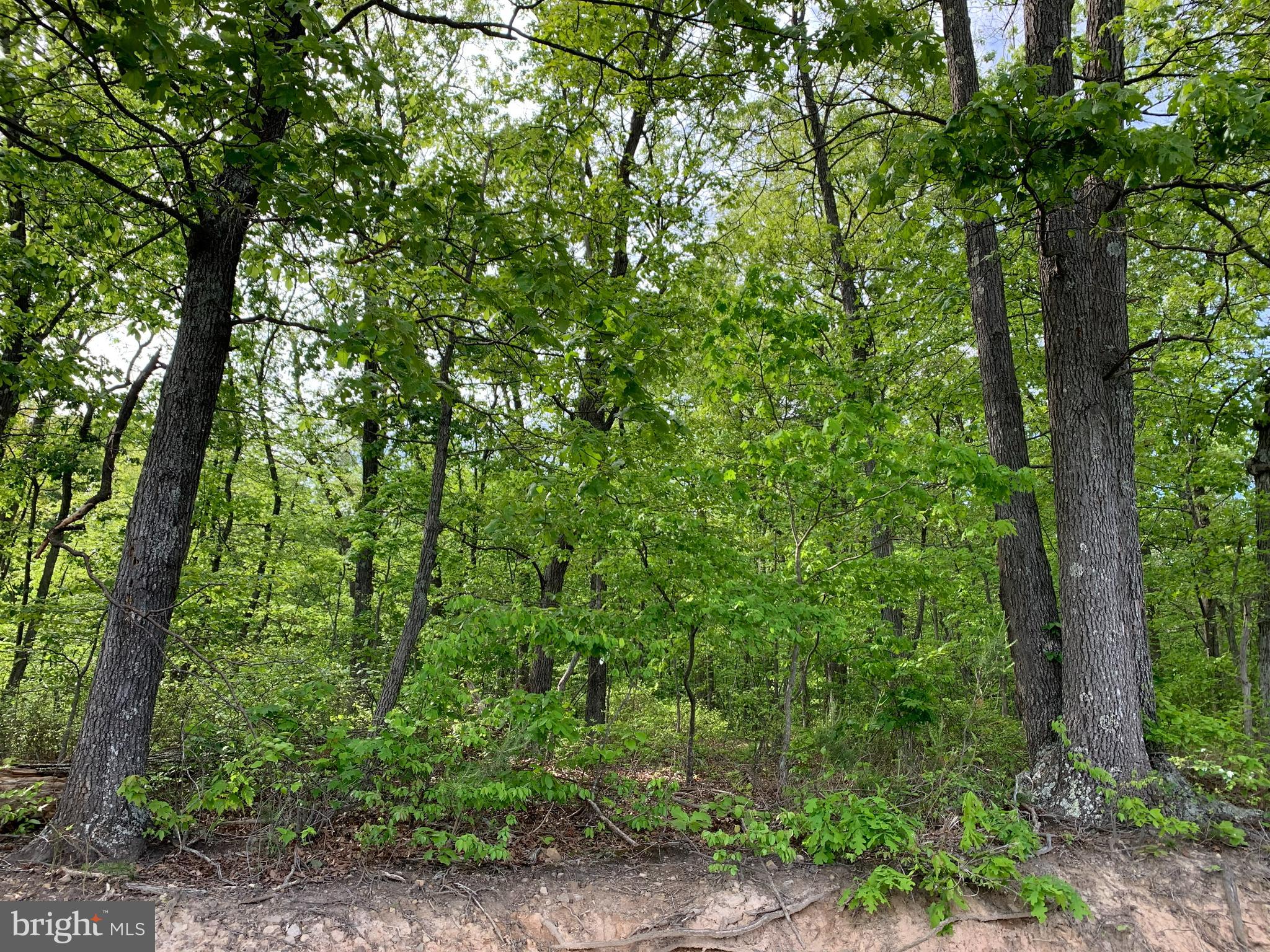 NONE AVAILABLE - Land