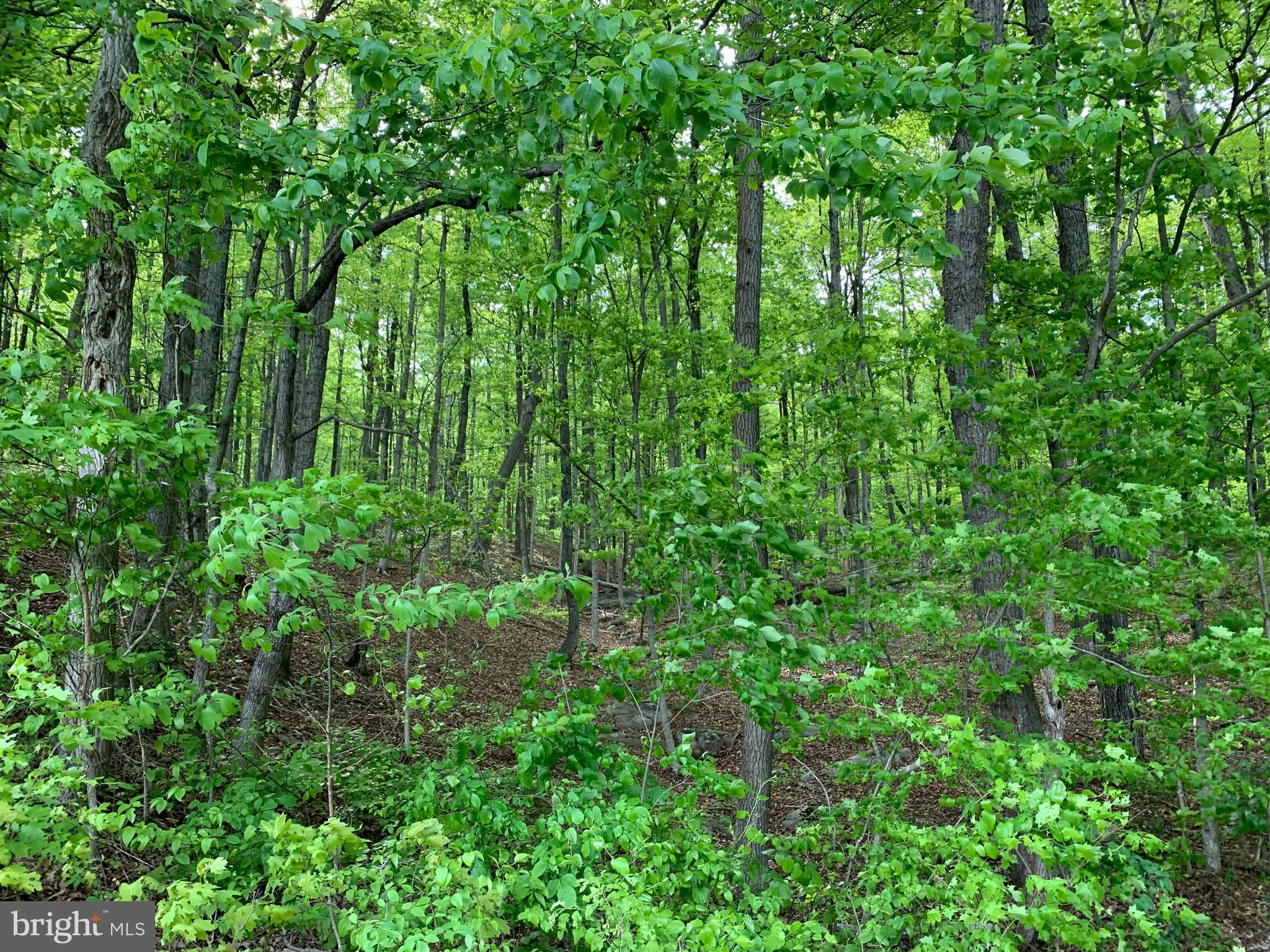 NONE AVAILABLE - Land