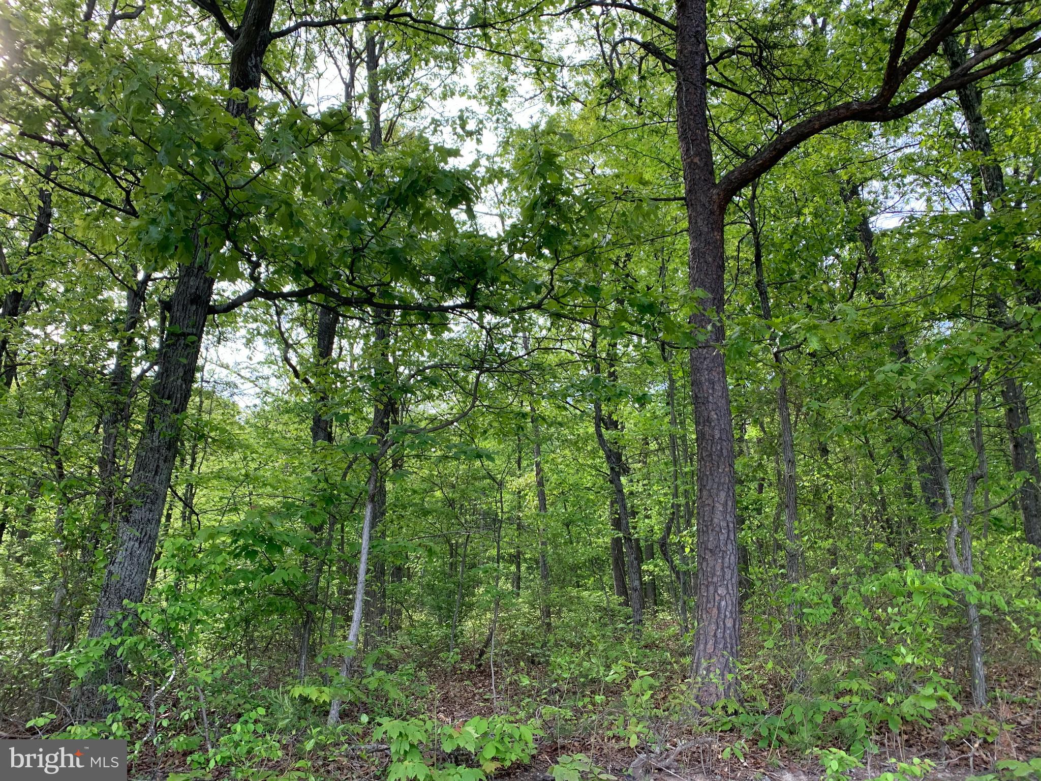 NONE AVAILABLE - Land