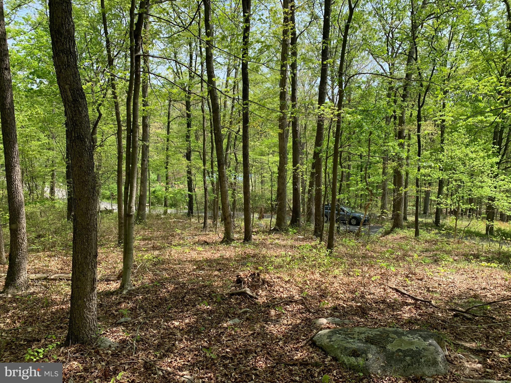 NONE AVAILABLE - Land