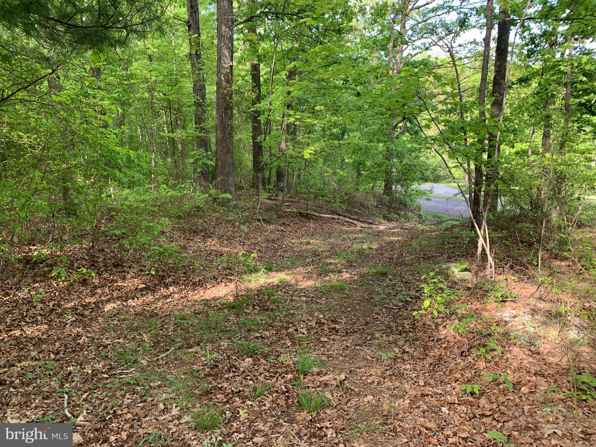 NONE AVAILABLE - Land