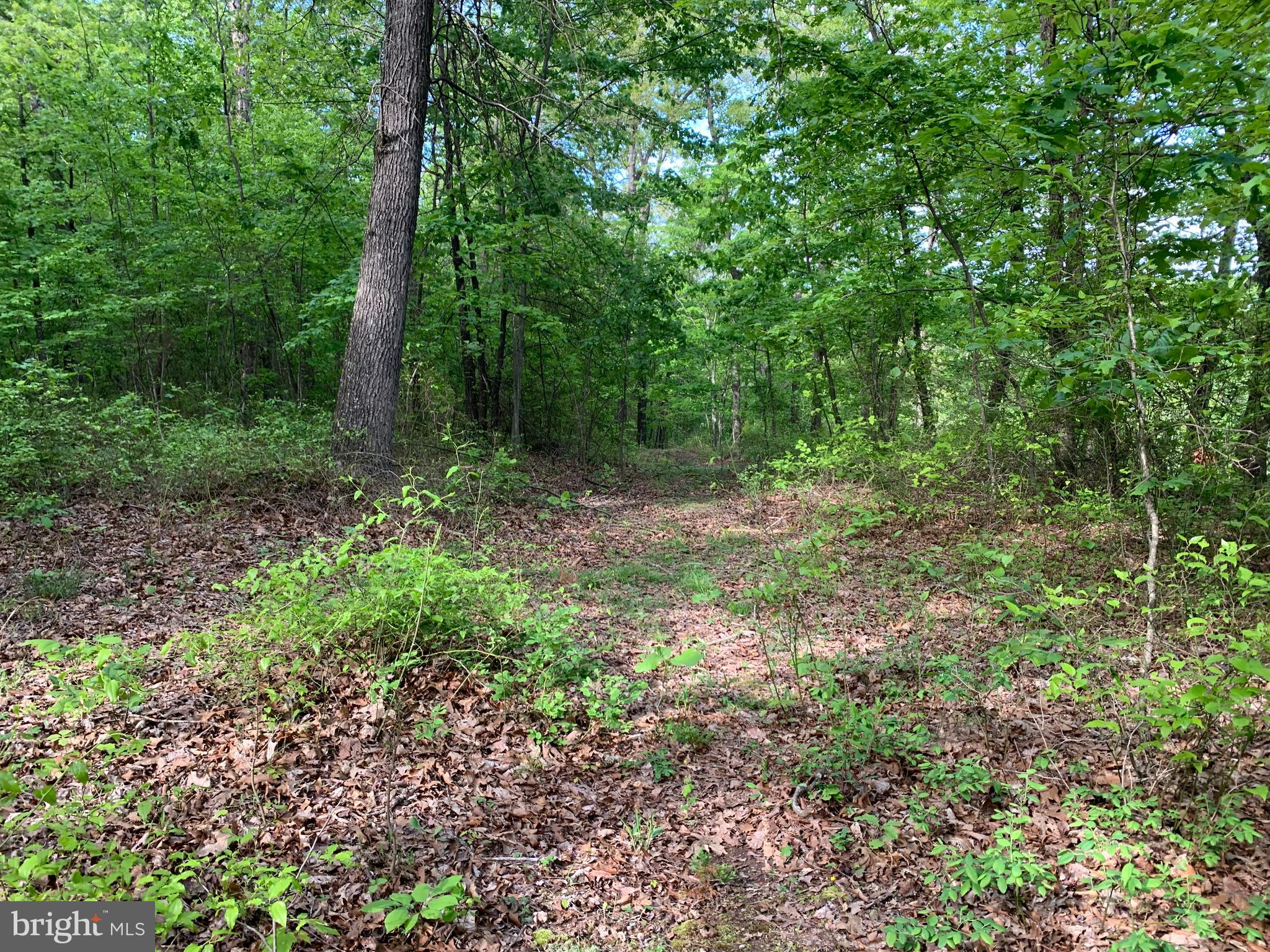 NONE AVAILABLE - Land