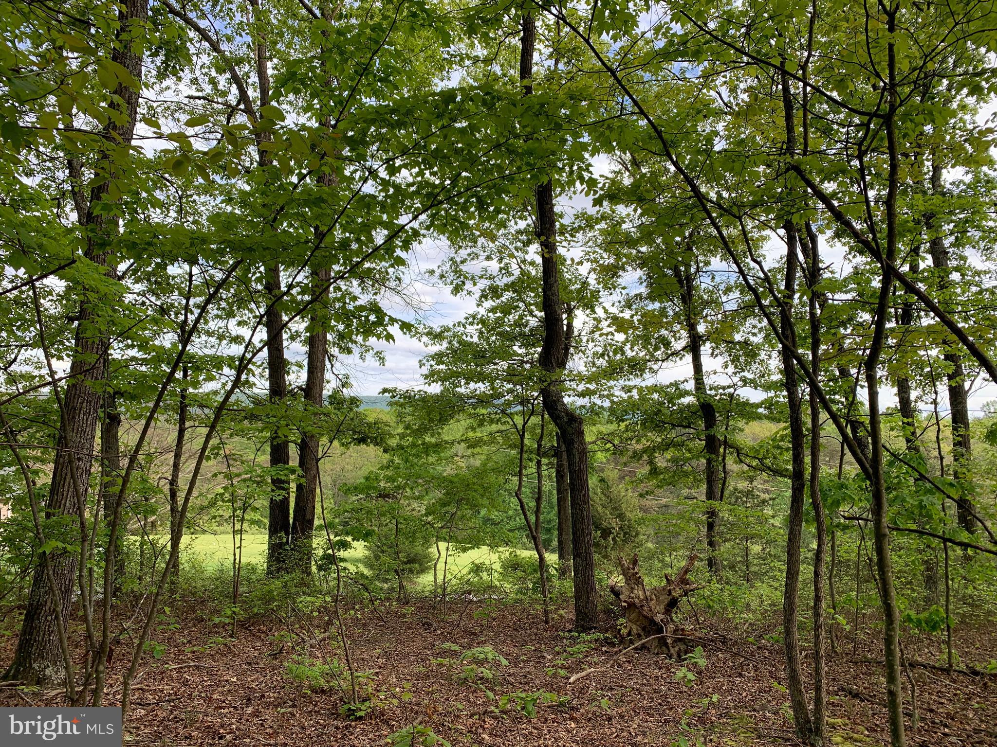 NONE AVAILABLE - Land