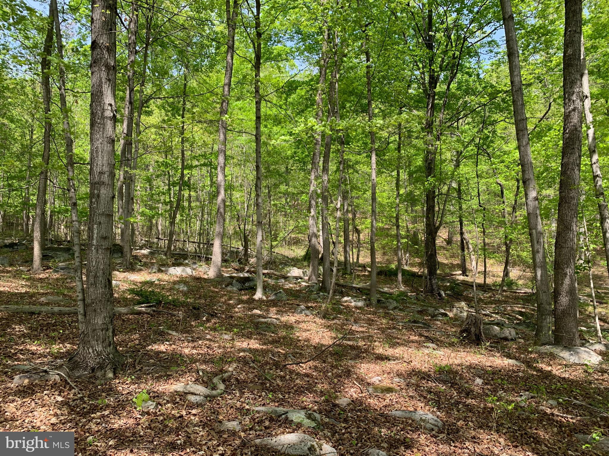 NONE AVAILABLE - Land