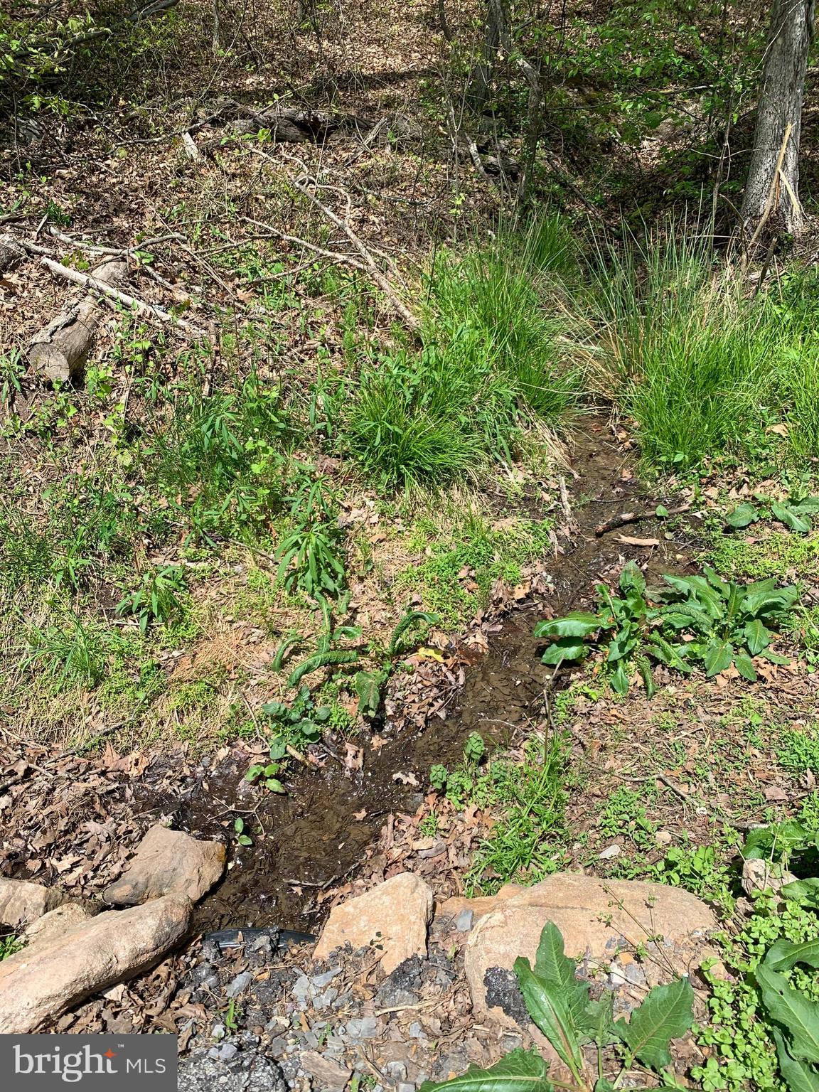 NONE AVAILABLE - Land