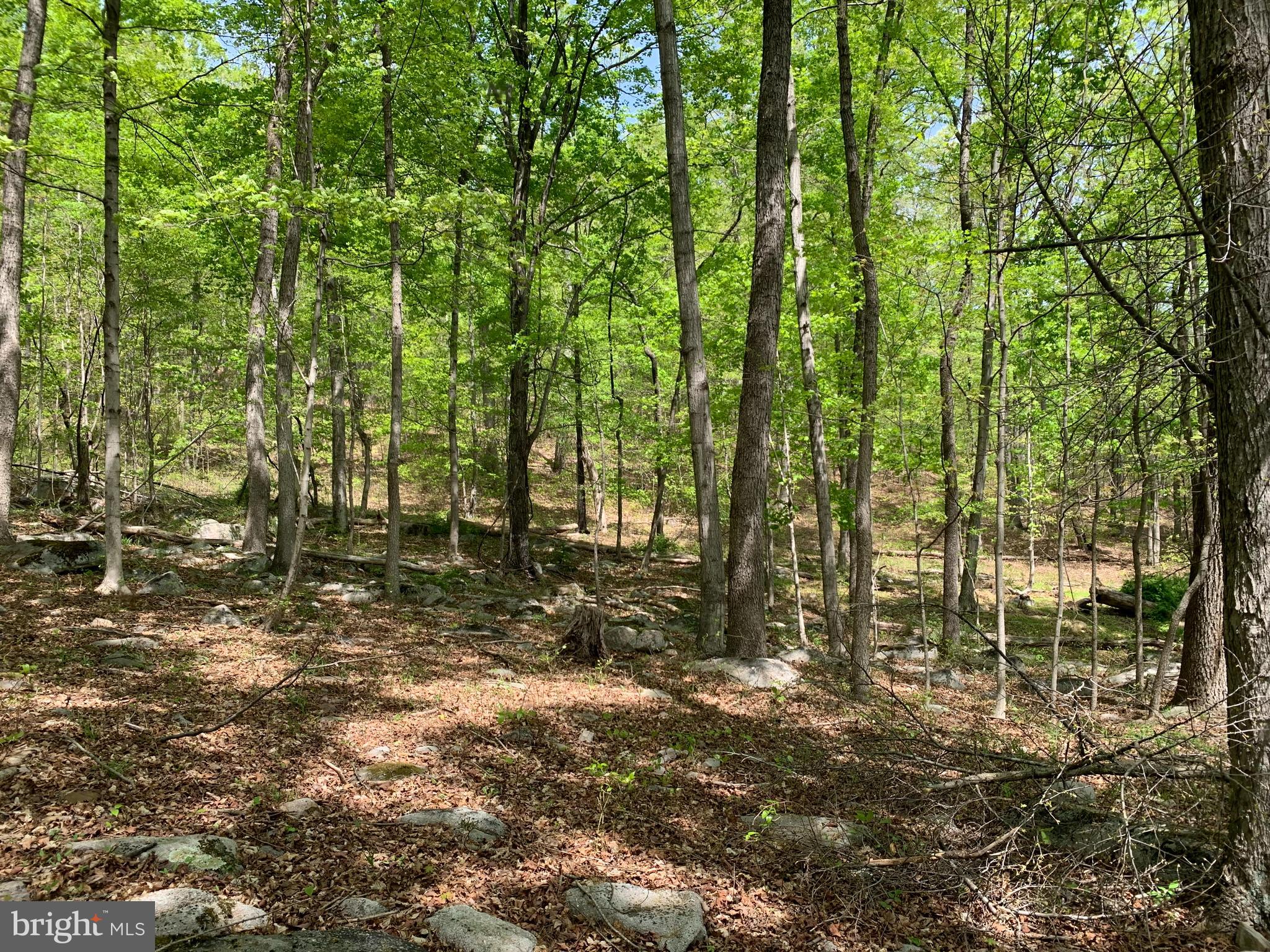 NONE AVAILABLE - Land