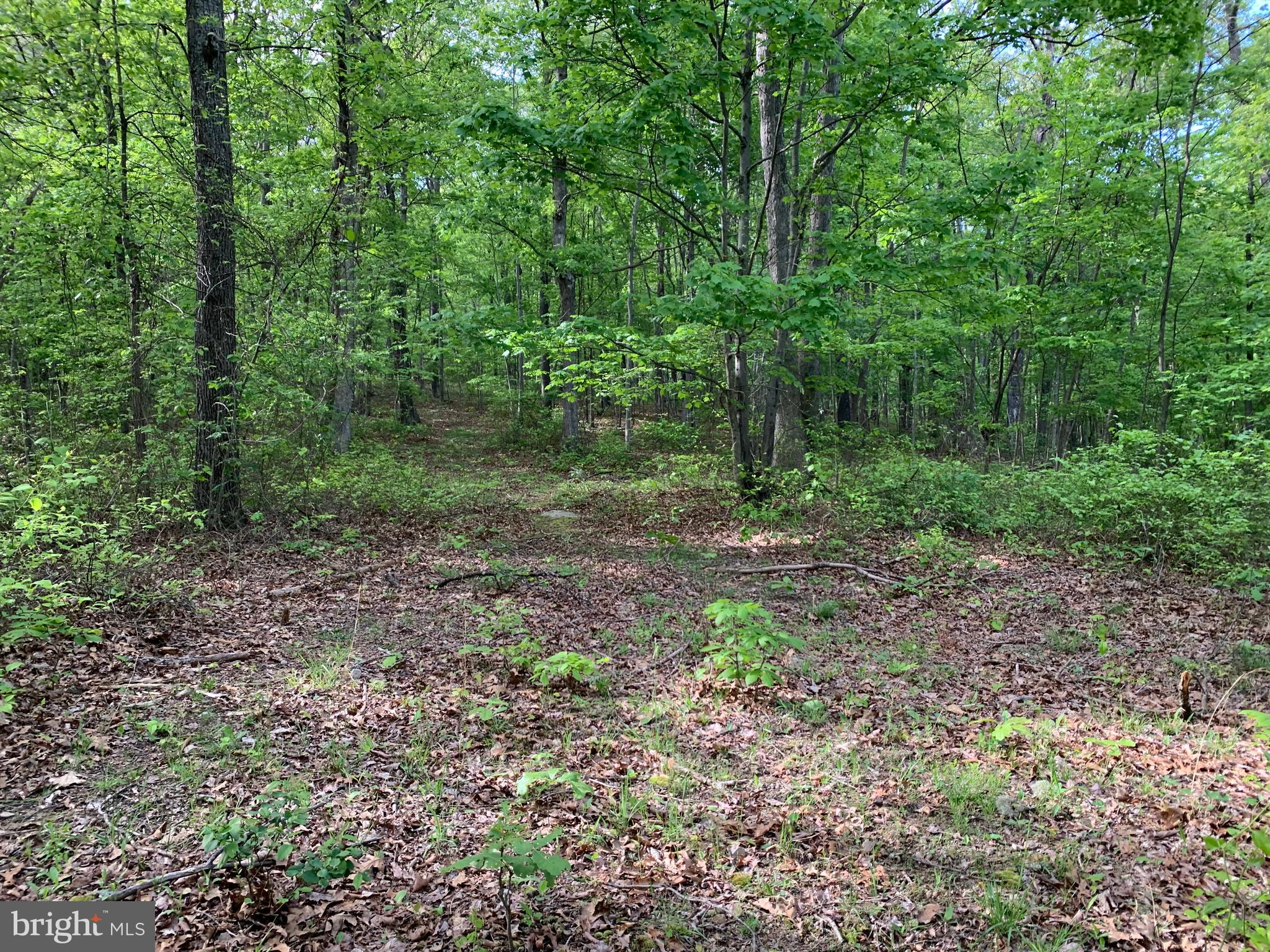 NONE AVAILABLE - Land