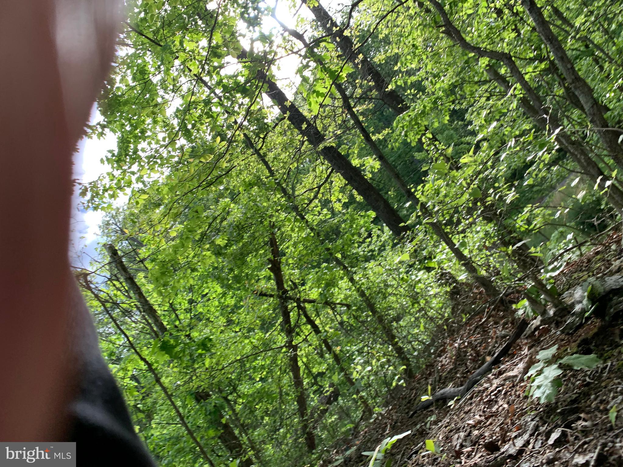 NONE AVAILABLE - Land