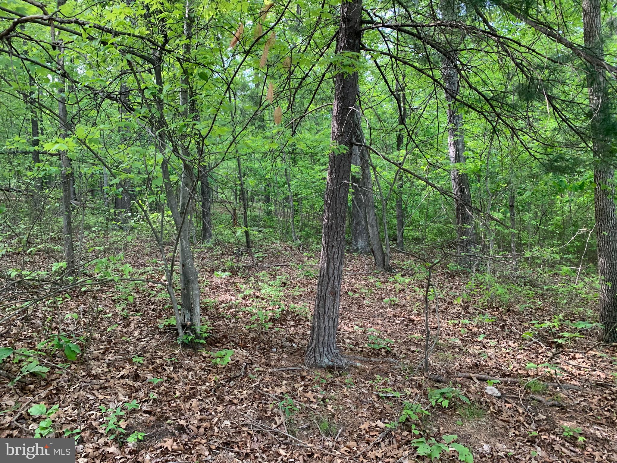 NONE AVAILABLE - Land