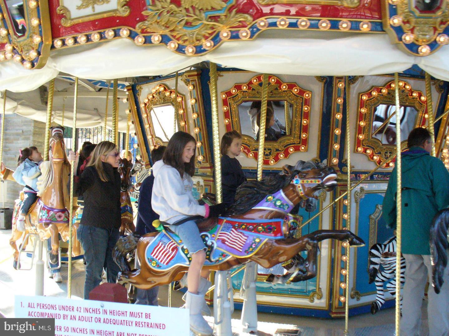 LILLIAN COURT AT TYSONS - Residential Lease