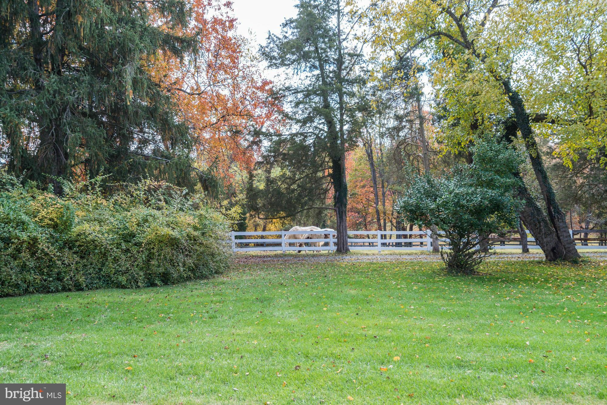 DARNESTOWN OUTSIDE - Farm