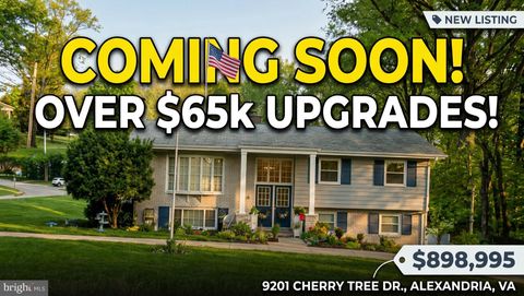 9201 CHERRYTREE DRIVE ALEXANDRIA VA 22309