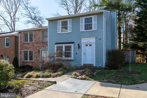 11517 IVY BUSH COURT RESTON VA 20191