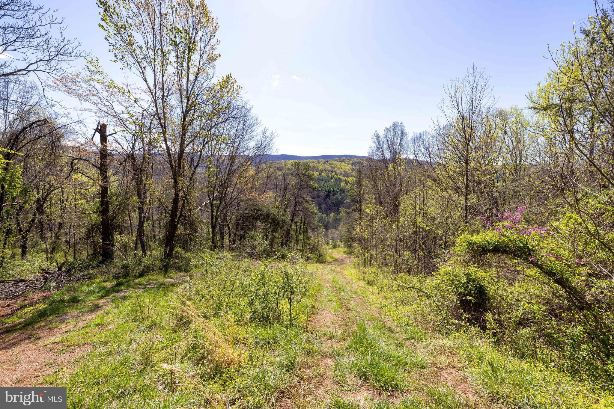 NONE AVAILABLE - Land