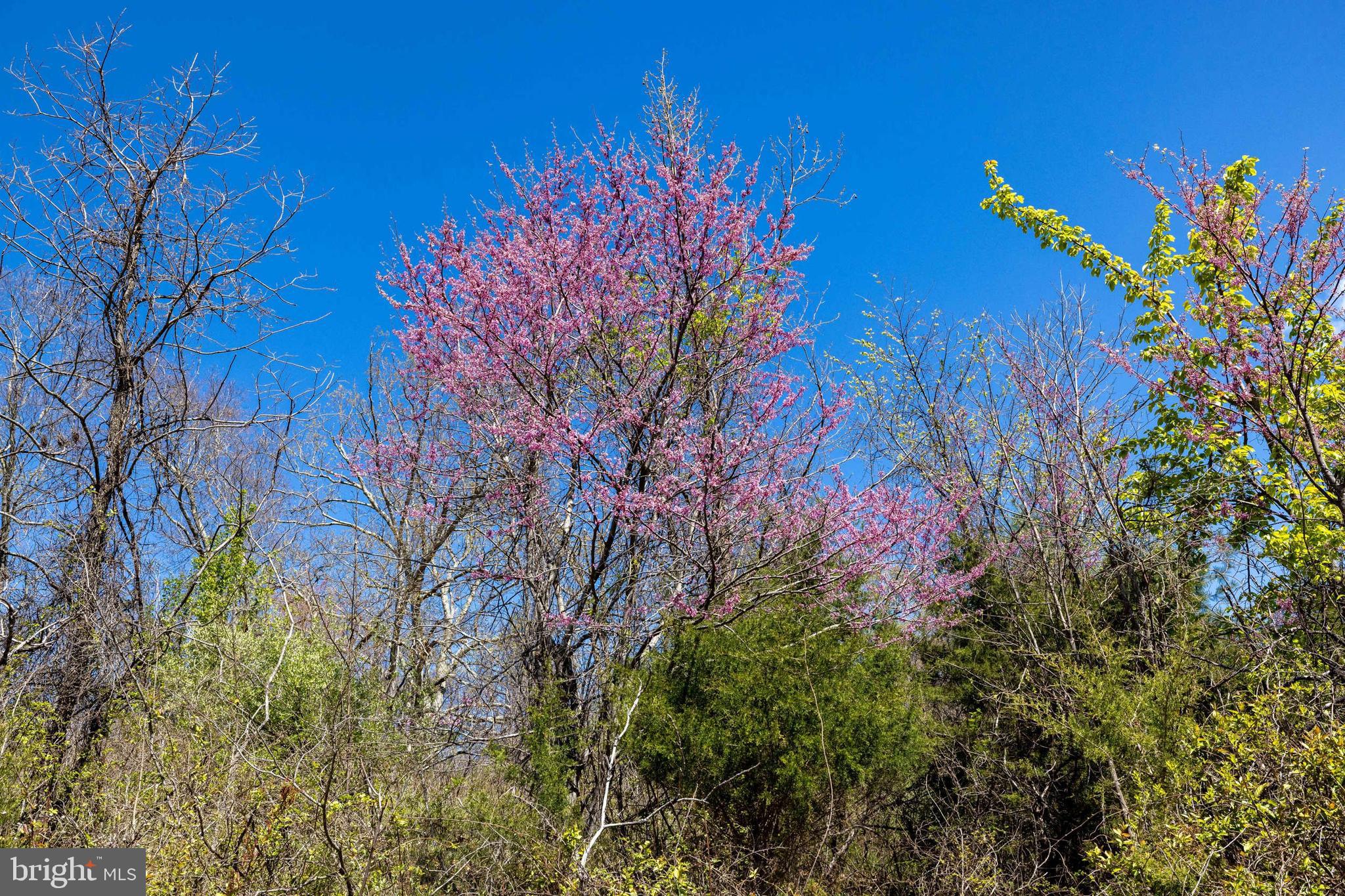 NONE AVAILABLE - Land