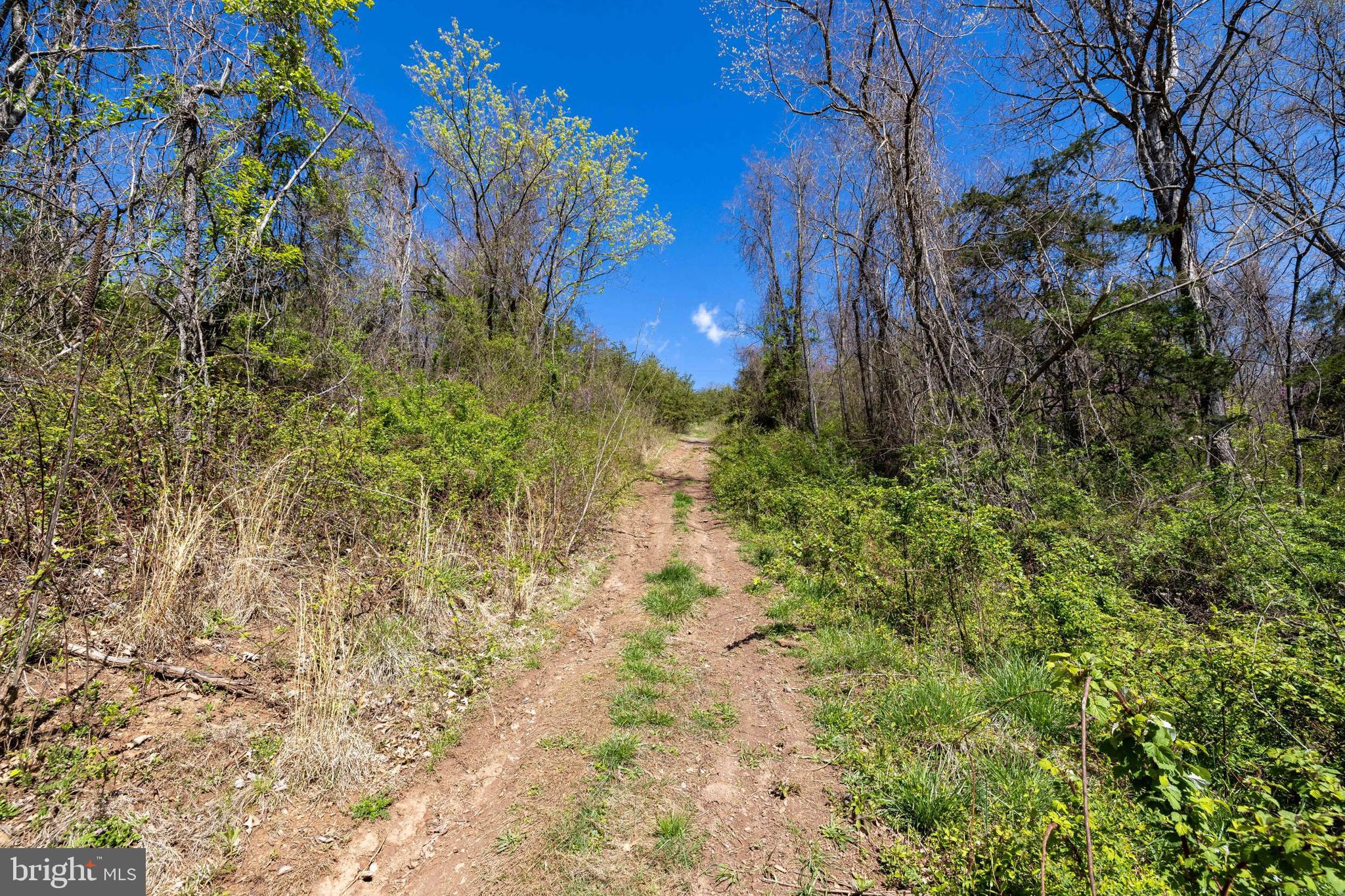 NONE AVAILABLE - Land