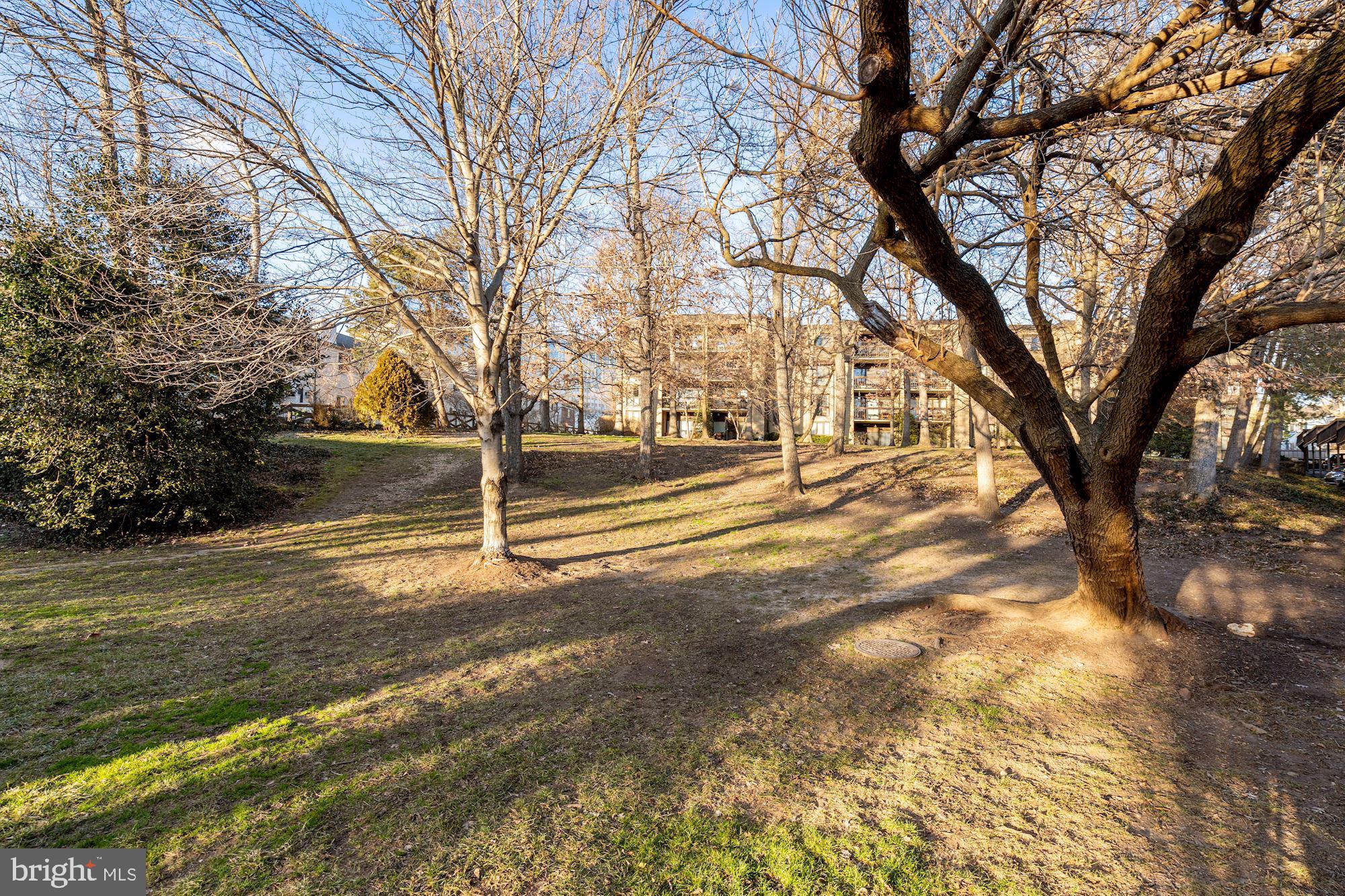 ALEXANDRIA OVERLOOK - Residential Lease