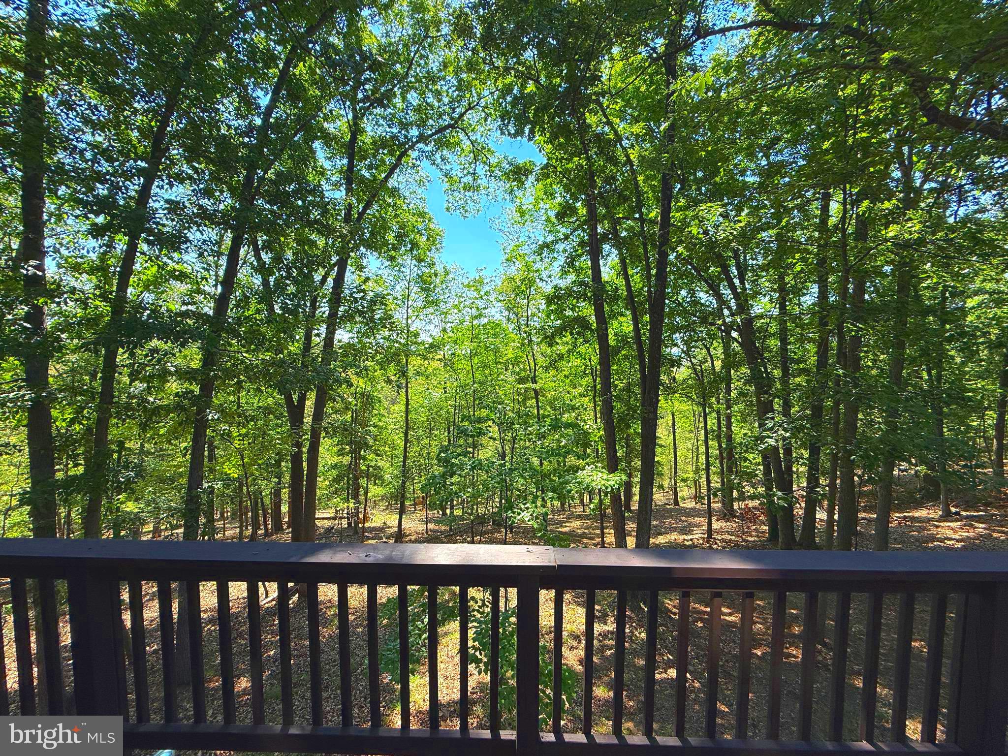 THE WOODS - Residential