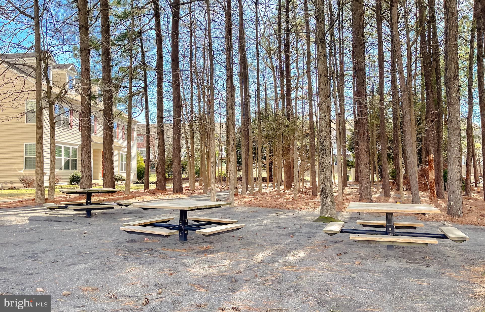 PRIMROSE PARK AT WILDEWOOD - Residential