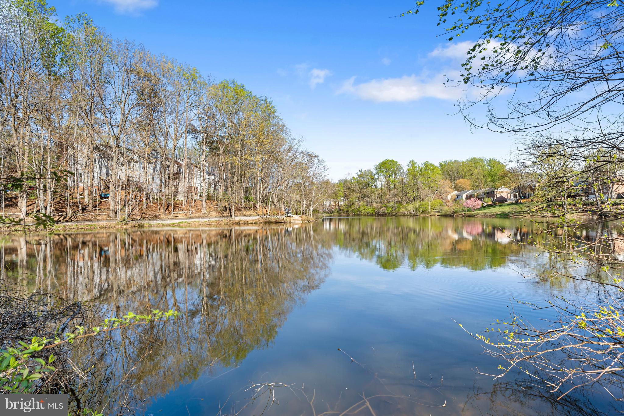 LAKE BRADDOCK - Residential