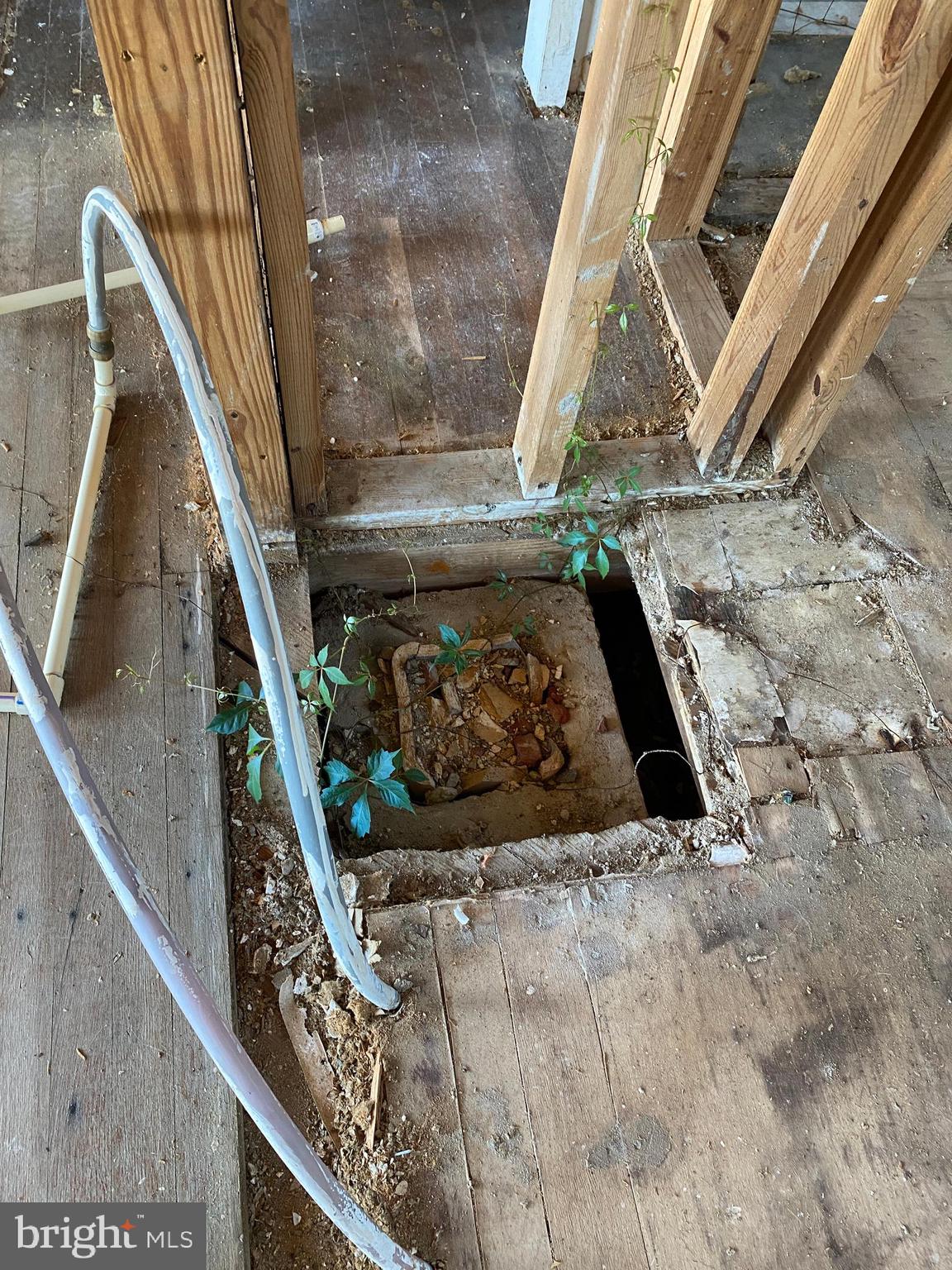 CAPE ISLE OF WIGHT - Residential