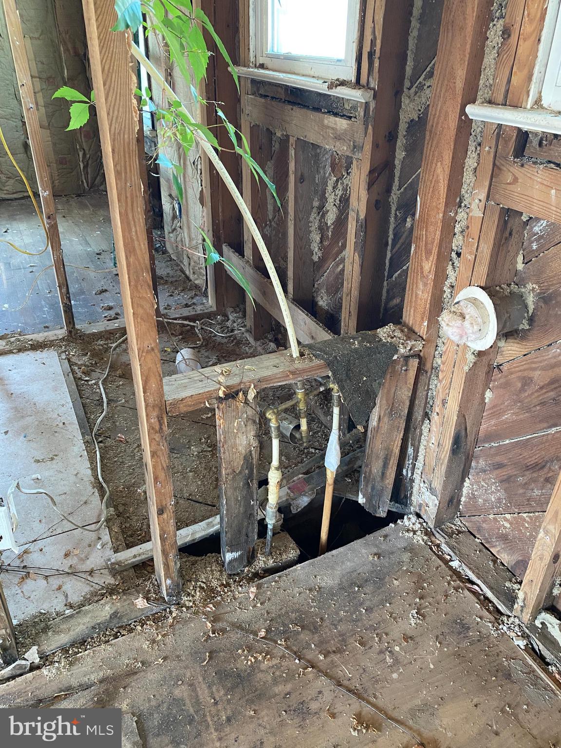 CAPE ISLE OF WIGHT - Residential