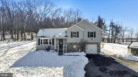 245 DOVE ROAD FREDERICKSBURG PA 17026