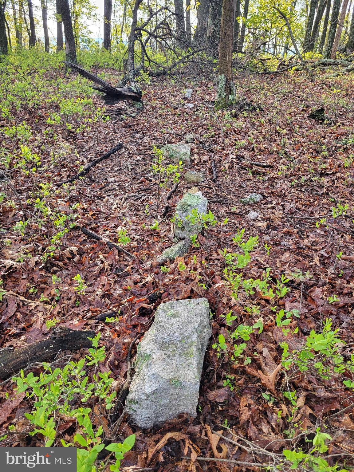 CACAPON HIGHLANDS - Land