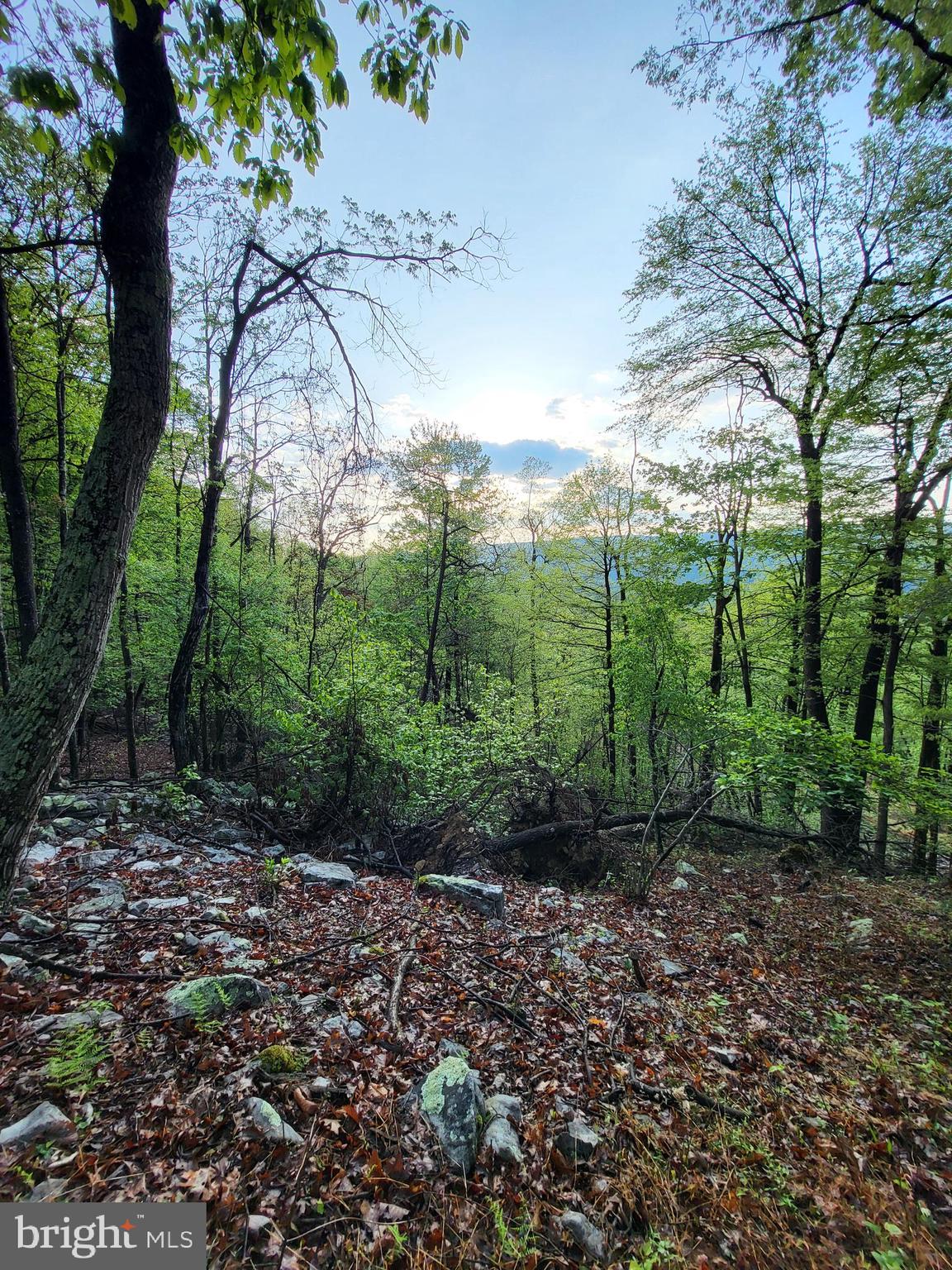CACAPON HIGHLANDS - Land