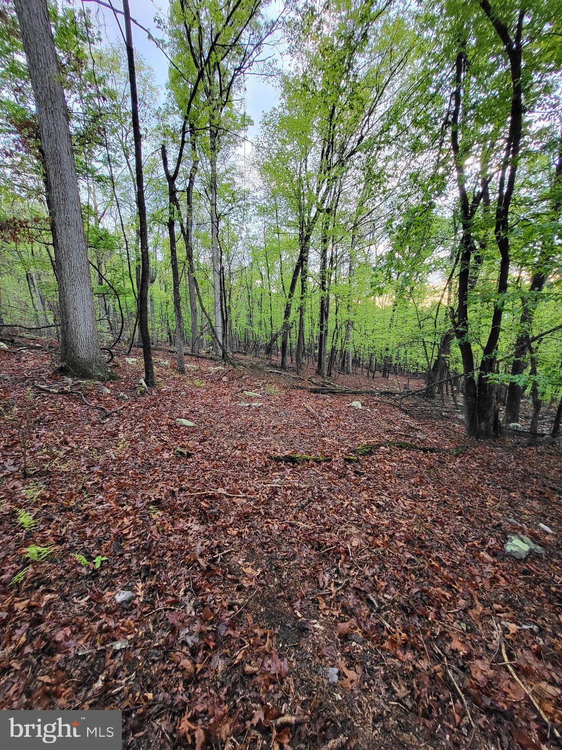 CACAPON HIGHLANDS - Land