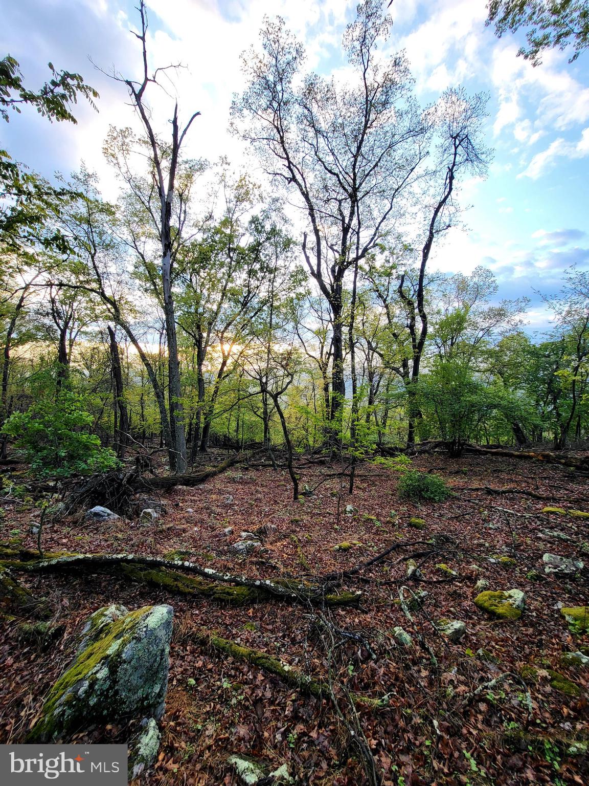 CACAPON HIGHLANDS - Land