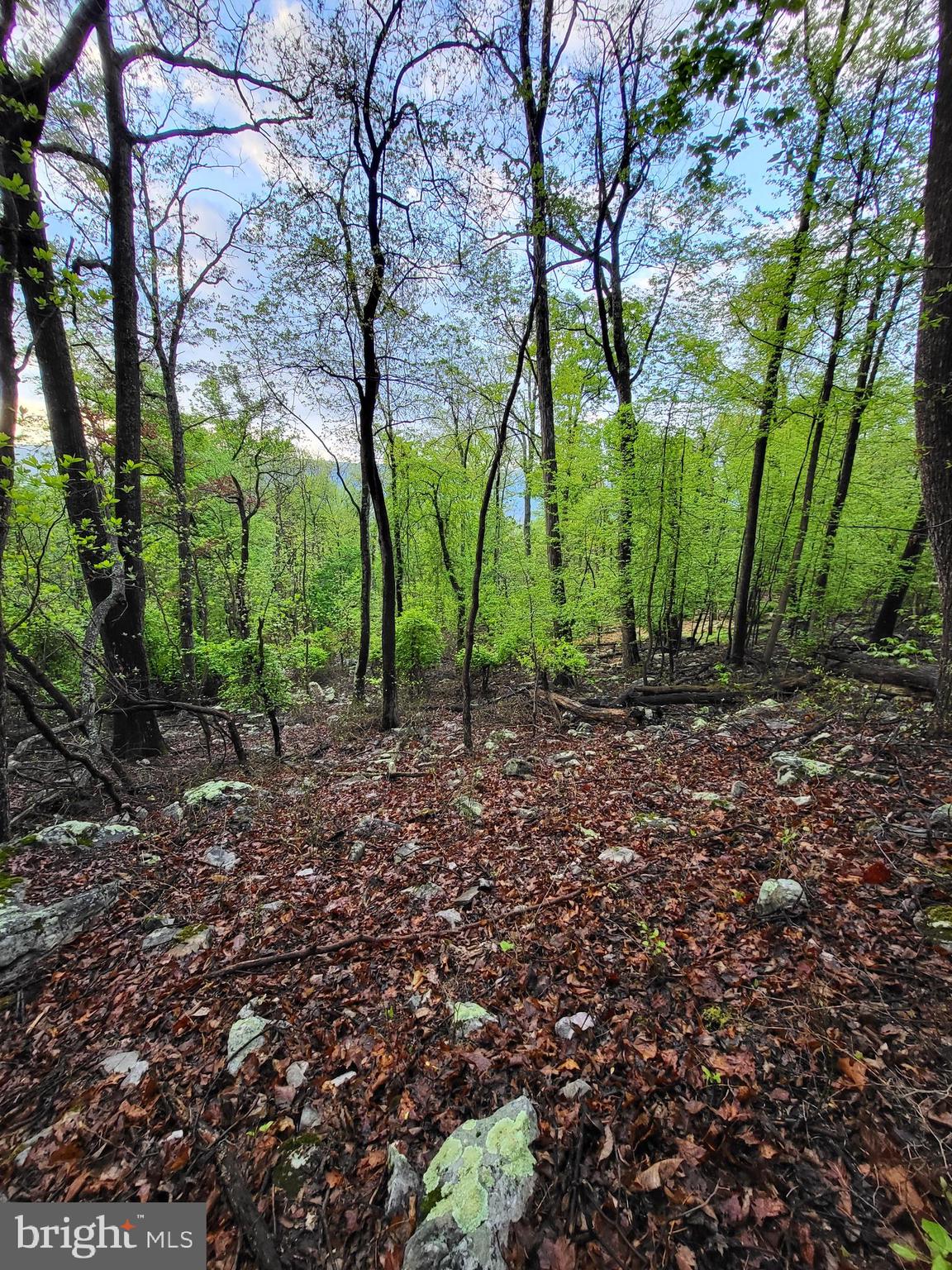 CACAPON HIGHLANDS - Land