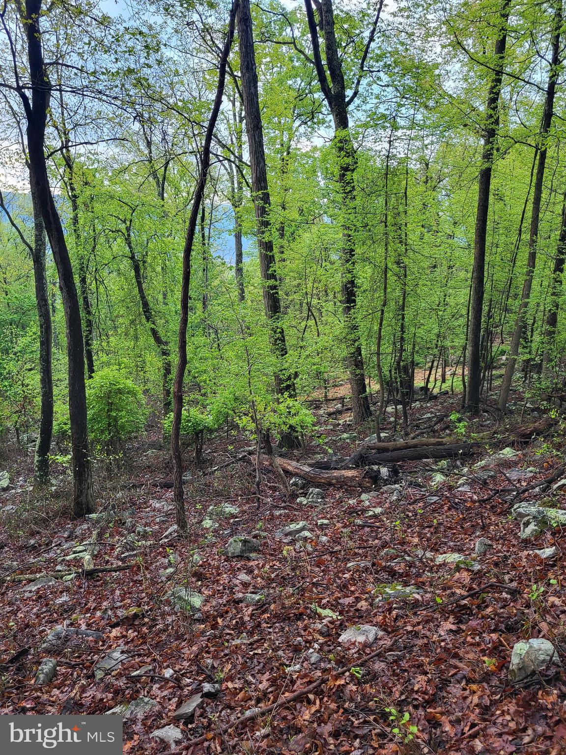 CACAPON HIGHLANDS - Land